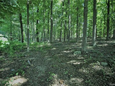 58-62 Walmer Lane, Cold Spring, NY, 10516