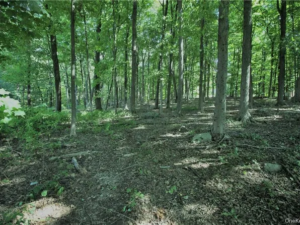 58-62 Walmer Lane, Cold Spring, NY 10516