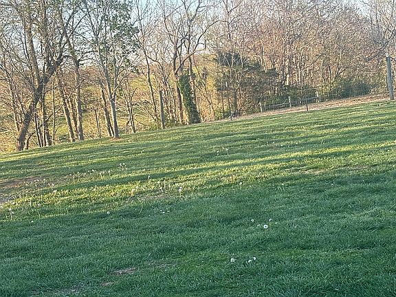 4th image of 304 Hutchins Ridge Rd