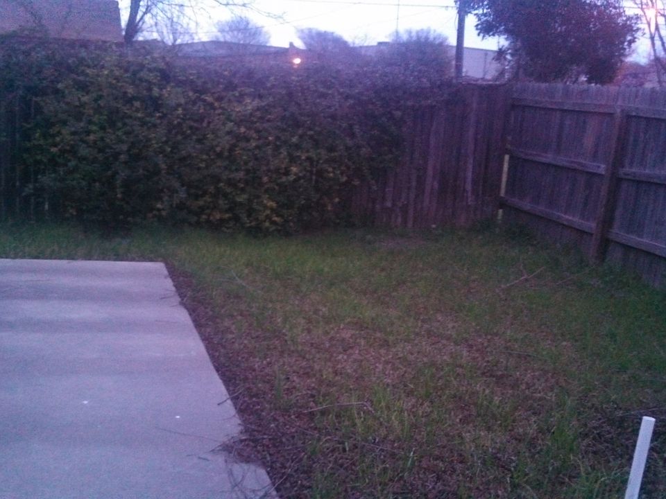 patio and yard