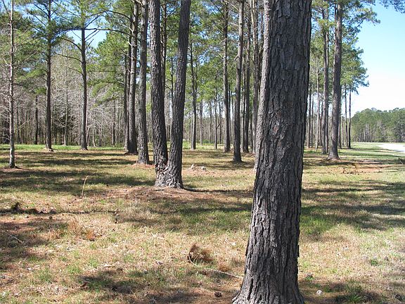 5th image of 557 Southern Plantation Drive North #Lot 241