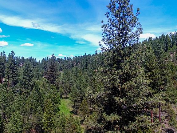 5th image of 10 N Meadow Creek Rd