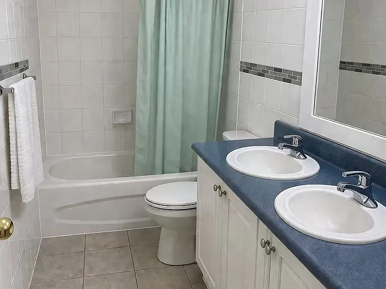 55 Sassafras Cir #1 — Photo 6