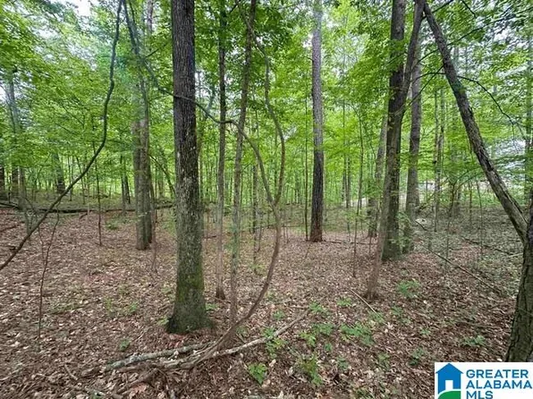 0 Timber Trl #674 & 675, Warrior, AL 35180