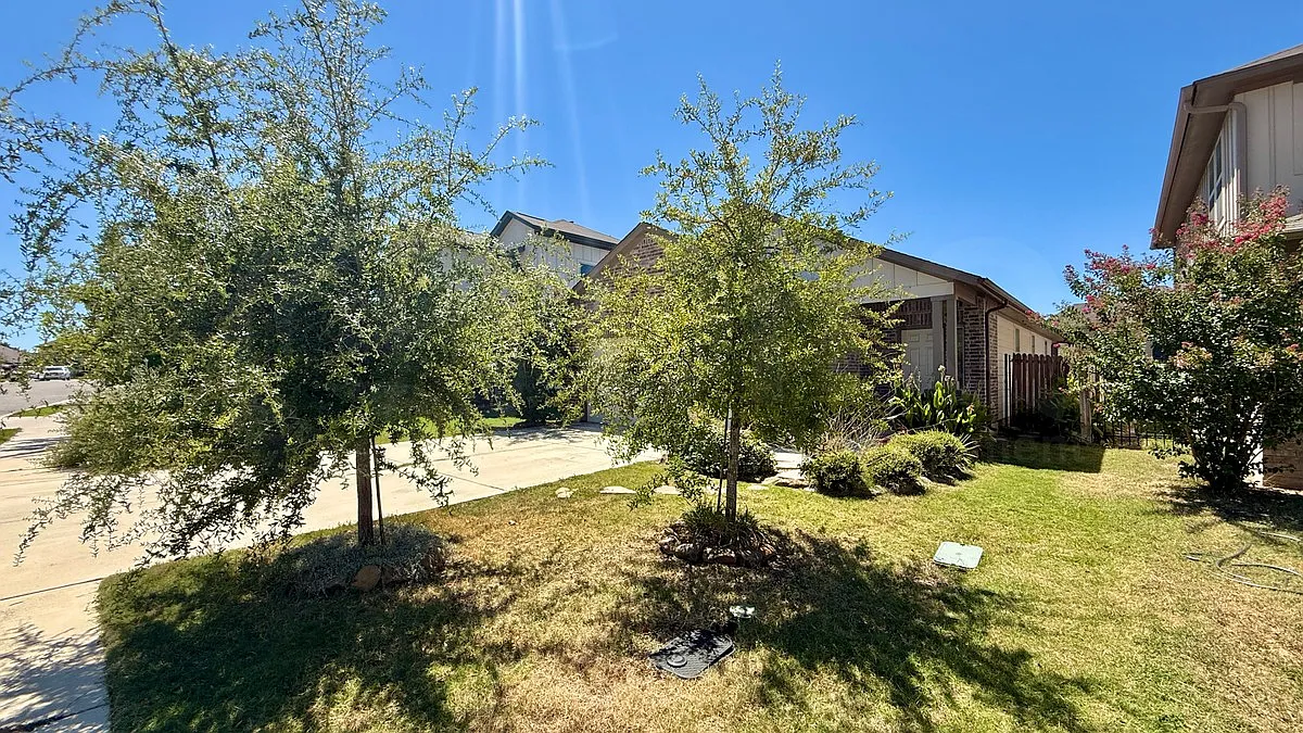 3 bed, 2.0 bath, 1455 sqft, $1,850 — Photo 2