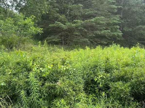 Lot 5 Soper Road, Orland, ME 04413