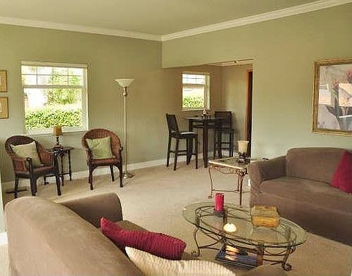 Living room has crown molding, designer colors and lots of light
