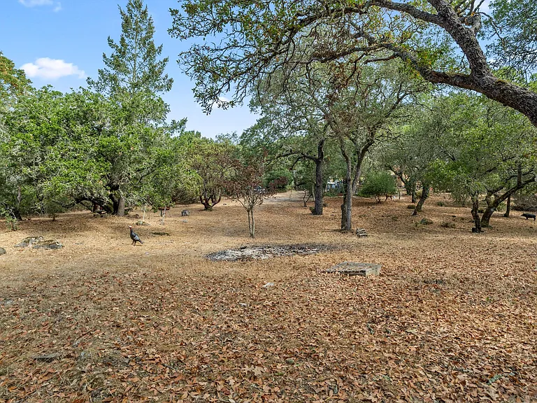 3220 Wood Valley Rd — Photo 17
