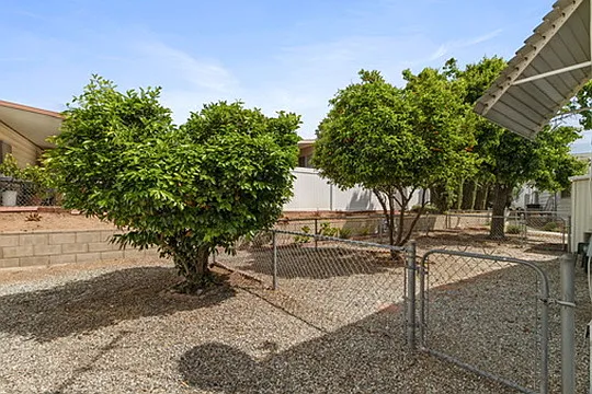 26146 Butterfly Palm Dr — Photo 18