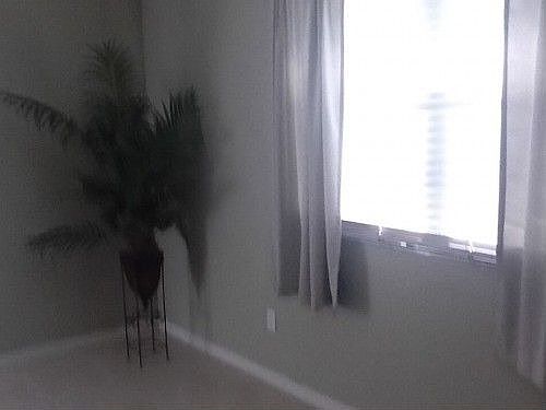 5th image of 8149 Plaza Gate Ln