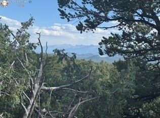 61 Bird Dr, Cotopaxi, CO 81223