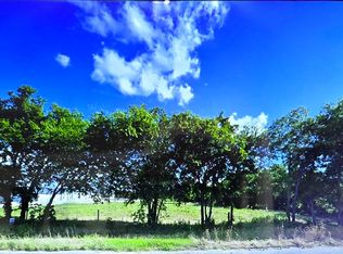 Us Highway 69 S, Lone Oak, TX 75453