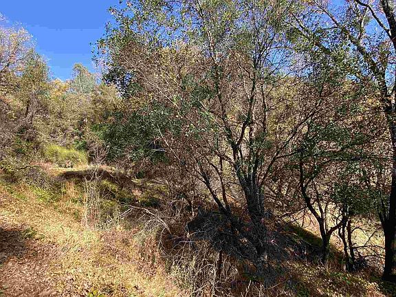 4th image of 19257 Canyon Dr