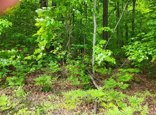 Lots 993 & 994 Arawak, Gaylord, MI 49735