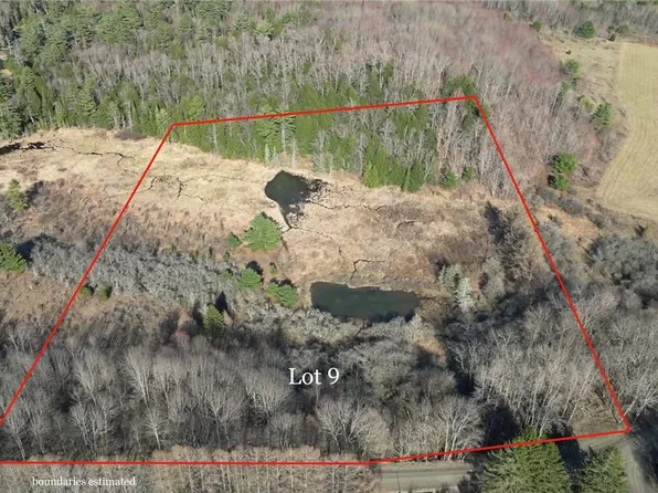 LOT 9 Goddards Rd Lot 9, Mount Vision, NY 13810