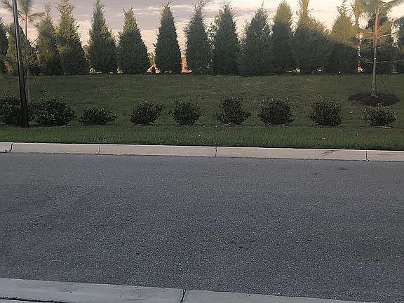 4th image of 8569 Whispering St