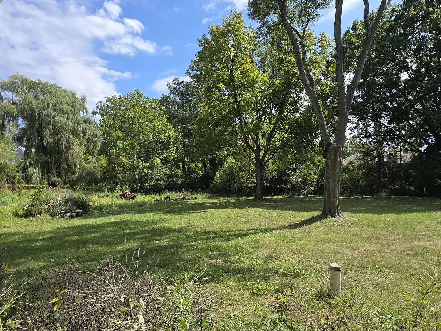 3 bed, 1.5 bath, 1336 sqft, $2,600 — Photo 4