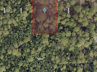 Woodland Avenue Lot #109, Paisley, FL 32767