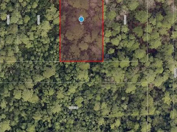 Woodland Avenue Lot #109, Paisley, FL 32767