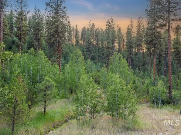LOT 12 Shaw Gulch Rd, Idaho City, ID 83631