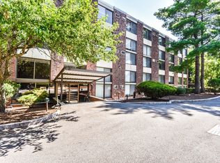 The Mill Brook, Arlington, MA 02476