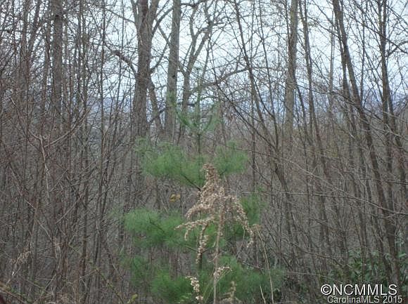 1st image of 308 Kindling Trl #29