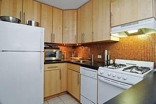 3rd image of 230 E Ontario St APT 301