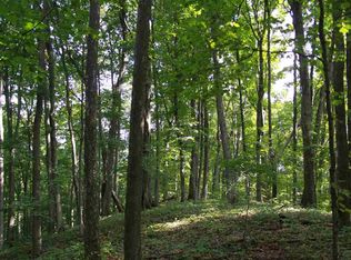 Walker St, Benzonia, MI 49616