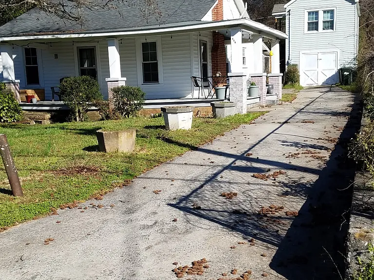 107A Hill St SE — Photo 18