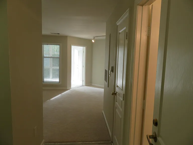5565 Seminary Rd #208 — Photo 20