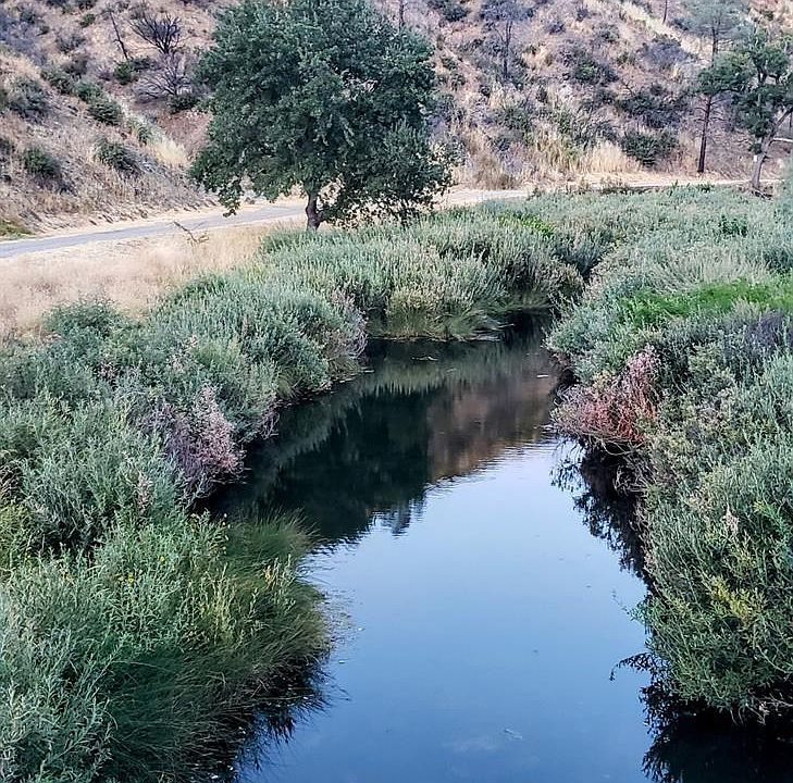 2163 Stagecoach Canyon Rd, Pope Valley, CA 94567 MLS 323907417 Zillow