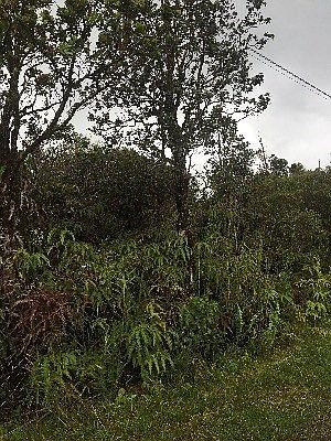 2nd image of 11-3223 Mailenani Rd Lot 23