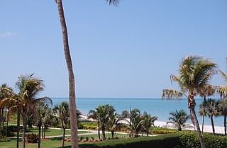 1st image of 4001 Gulf Shore Blvd N APT 203
