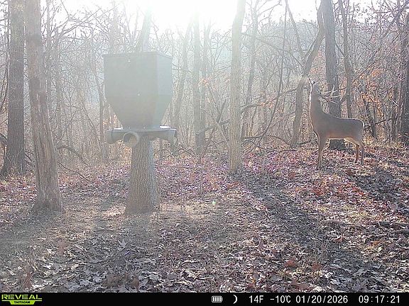 3rd image of 0 Kemper Hollow Rd #40AC