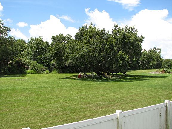 vacant land behind home