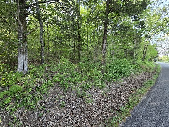 5th image of 0 Red Bank Rd