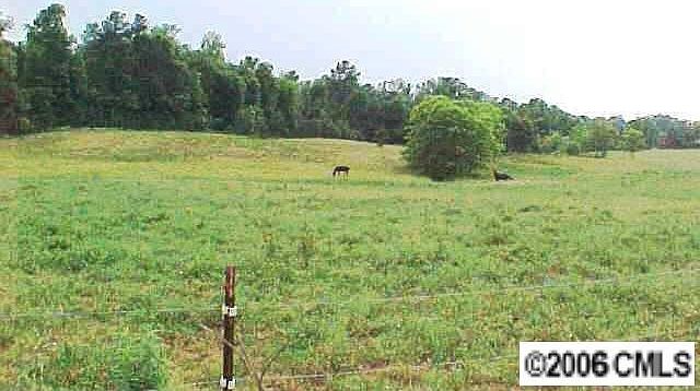 Beautiful Pasture land