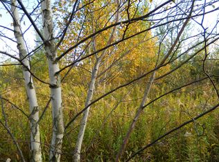 6666 Denhoff Rd, Kingston, MI 48741