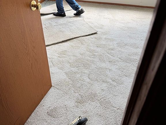 office/bedroom on the first floor, with new carpet.