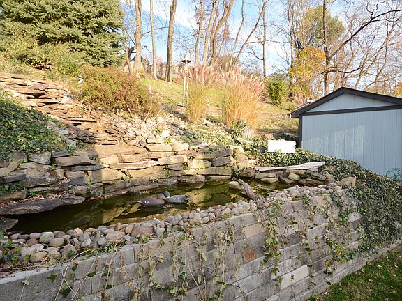 Pond
