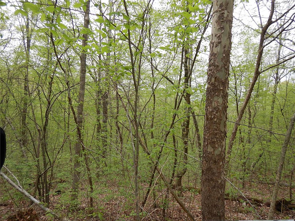2nd image of 11 Boone Mountain Dr