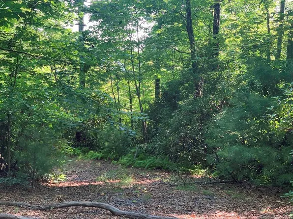 10C Reserve Rd, Pisgah Forest, NC 28768