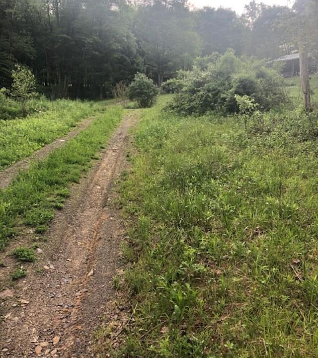 2nd image of 1298 Walker Rd