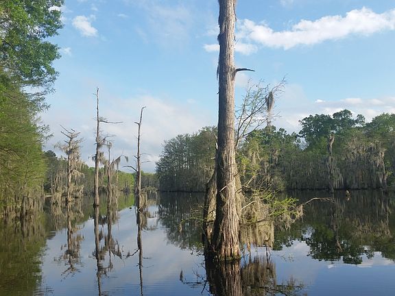 5th image of 403 Bayou Oaks Dr