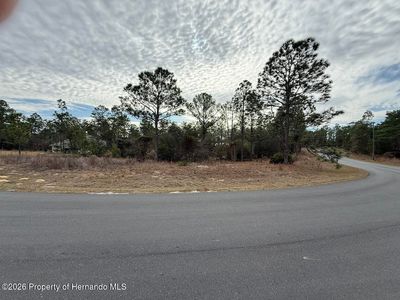 4143 W Dorchester Cir, Citrus Springs, FL, 34433