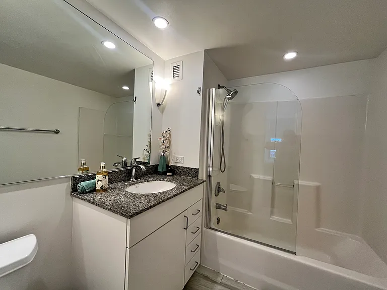 425 W Beech St #1152 — Photo 15