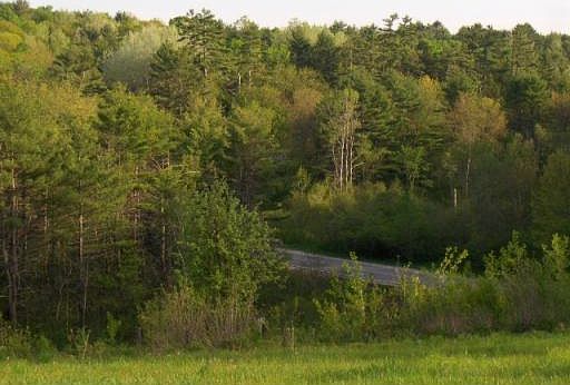 3rd image of 99 Mitchell Hill Road