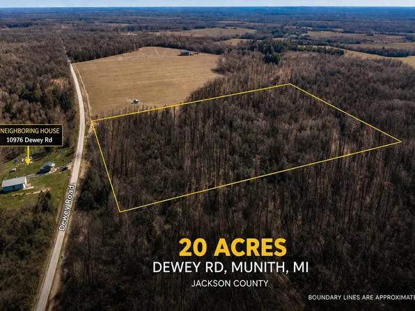 Dewey Rd, Munith, MI 49259