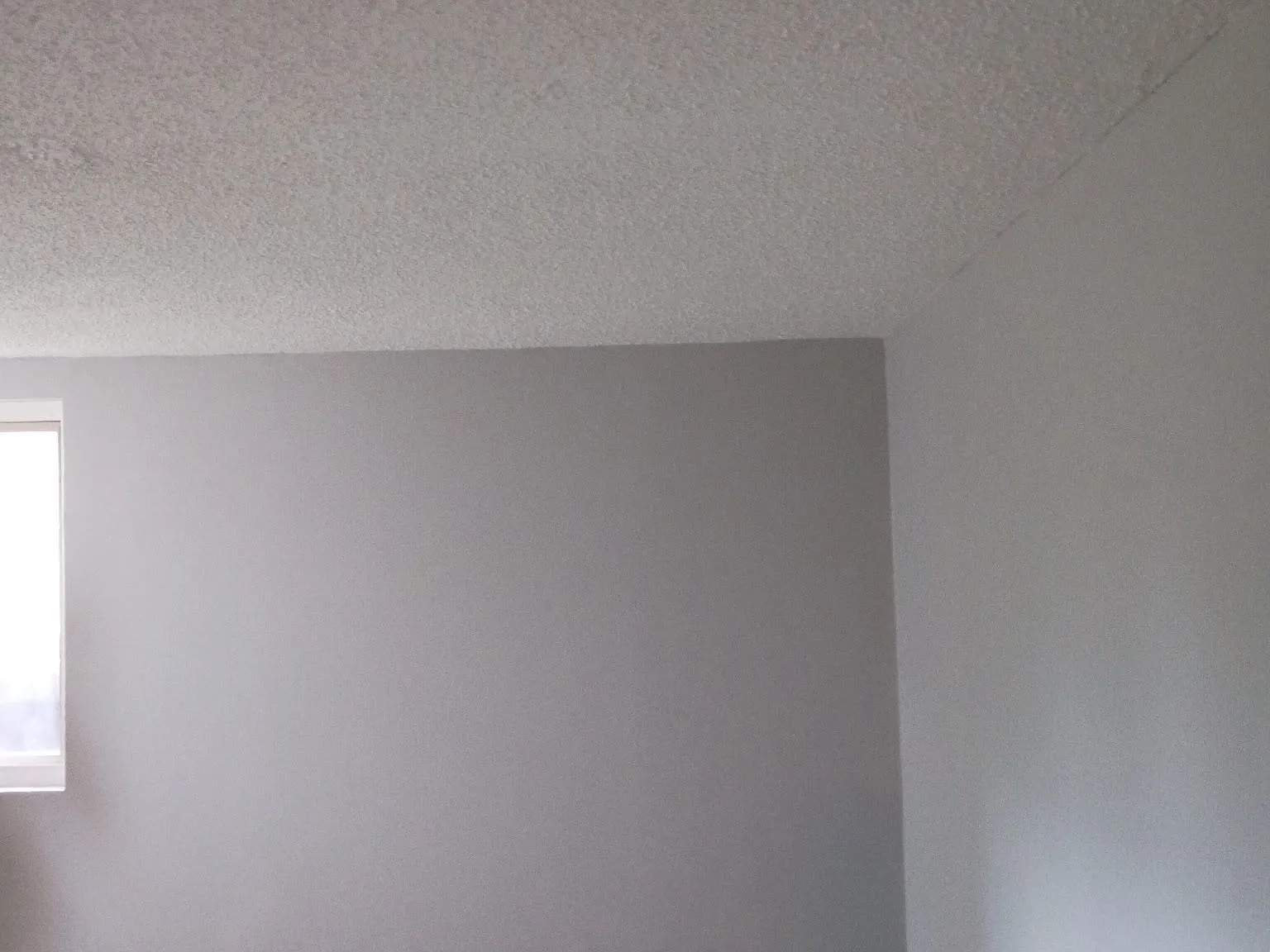 1 bed, 800 sqft, $1,100 — Photo 2
