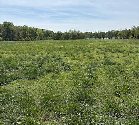 4th image of Tract 1 Leon Road